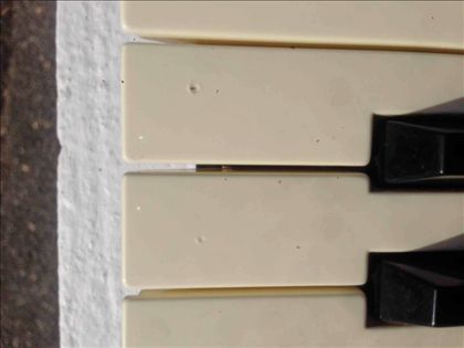 Oxford Synthesizer Co.-OSCar